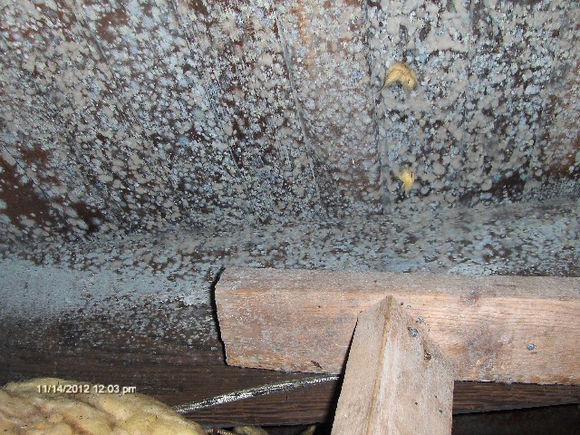Mold_pics_Keansburg_11_2012_007 Mold_pics_Keansburg_11_2012_007