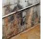 mold_on_basement_wall_2 mold_on_basement_wall_2