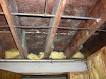 mold_on_joists mold_on_joists